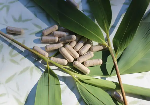 Unlock the Antioxidant Power of Bamboo Leaf Extract